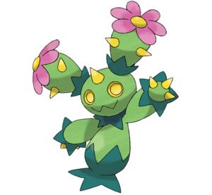 Maractus